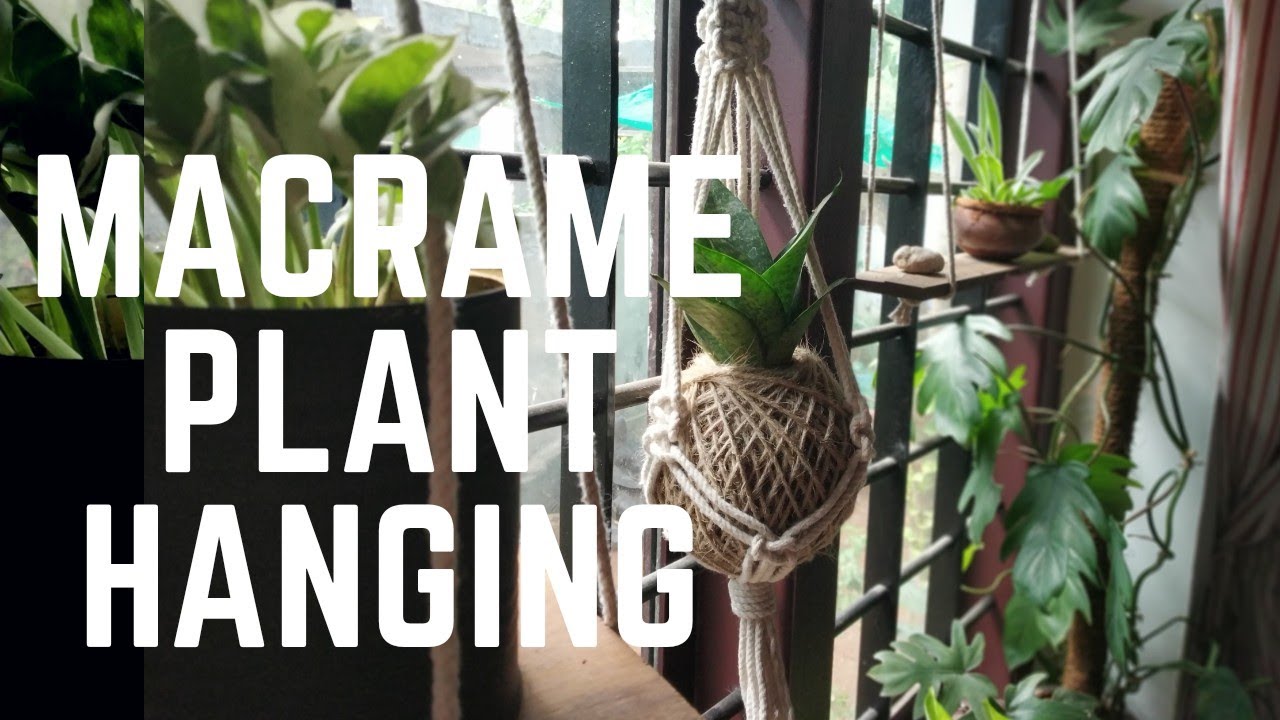 Macrame Plant Hanging for Beginners