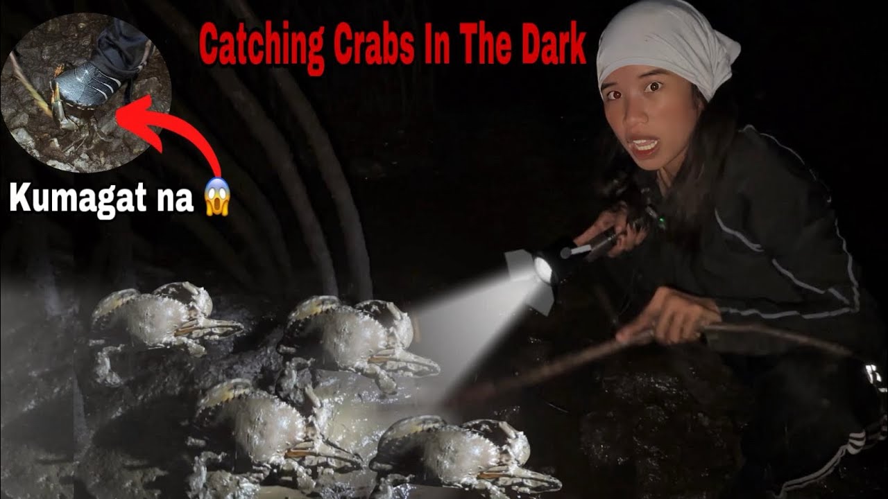 Catching Muddy Crabs In The Dark Dito Lang Pala Lungga Nila Sa Gabi 😳