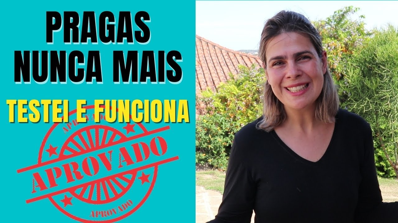 TESTADO E APROVADO:  o produto CONTRA PRAGAS nas minha suculentas/Grazi Bittencourt
