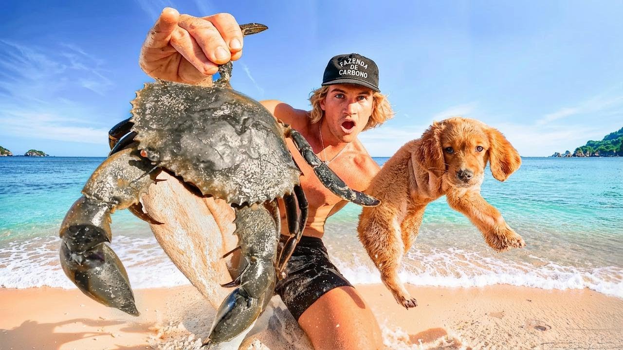 Peguei e preparei um caranguejo gigante com meu novo filhote