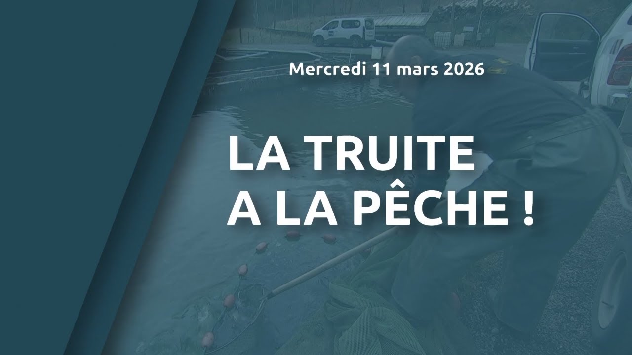 La truite à la pêche !
