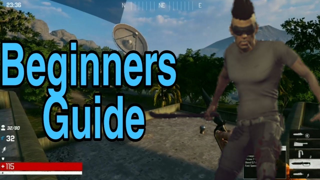 The Culling 2020 Beginner's Guide