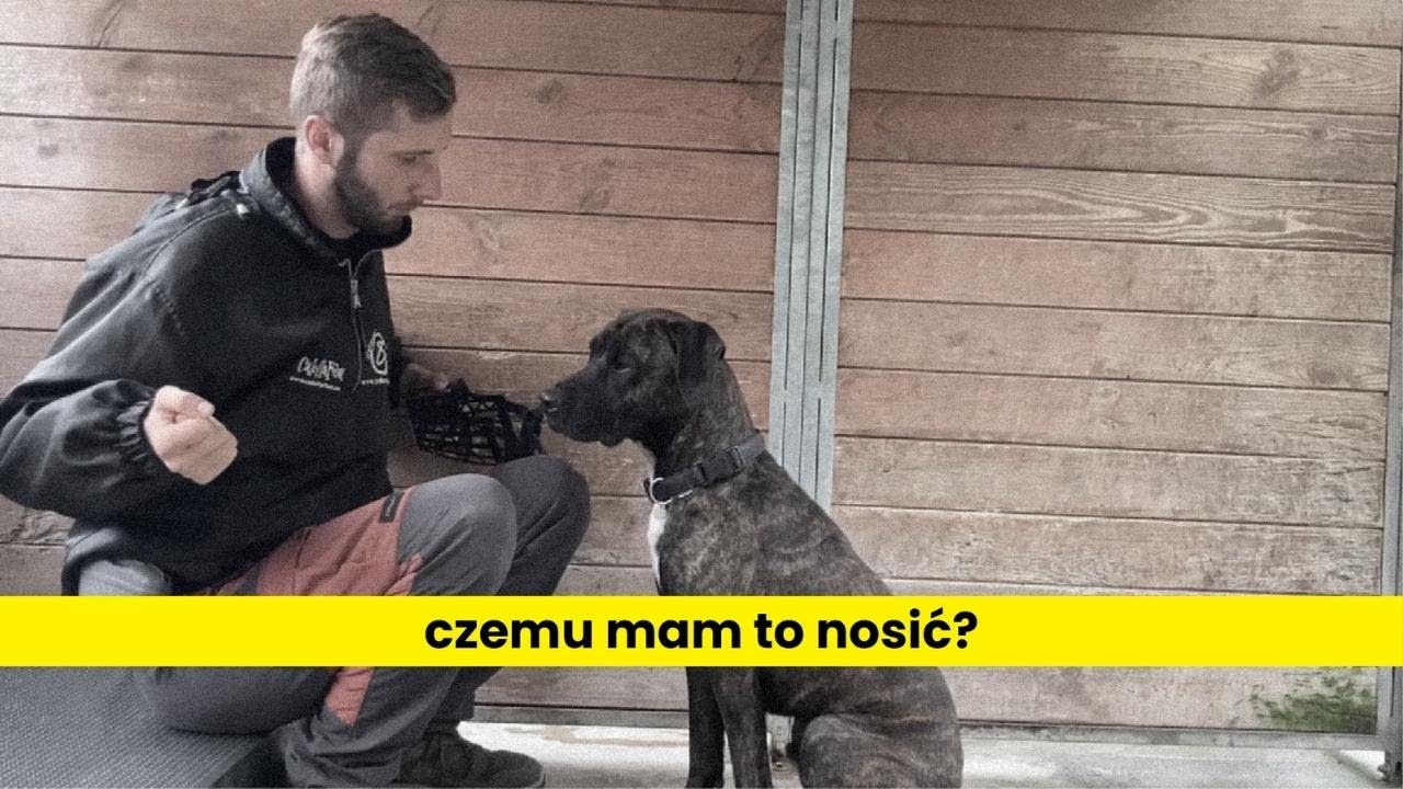 Różne sposoby na naukę kagańca