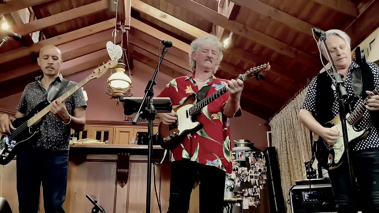 Don't Let Me Down (The Beatles) cover by the Barry Leef Band