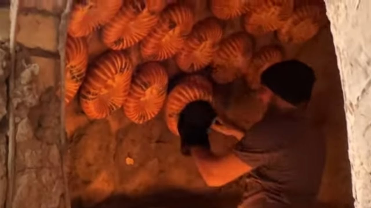 GIANT OVEN FOR COOKING TRADITIONAL BREAD