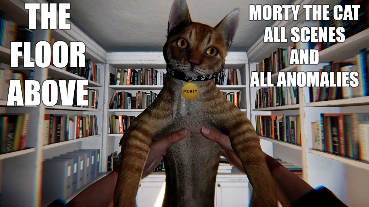 Morty the Cat All Anomalies and Scenes | All Cat Scenes - The Floor Above