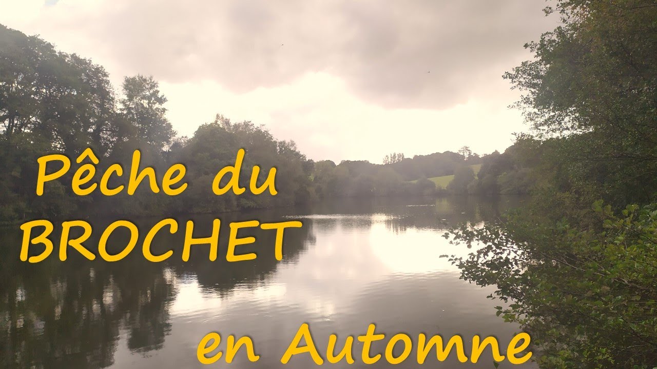 Pêche du BROCHET en automne