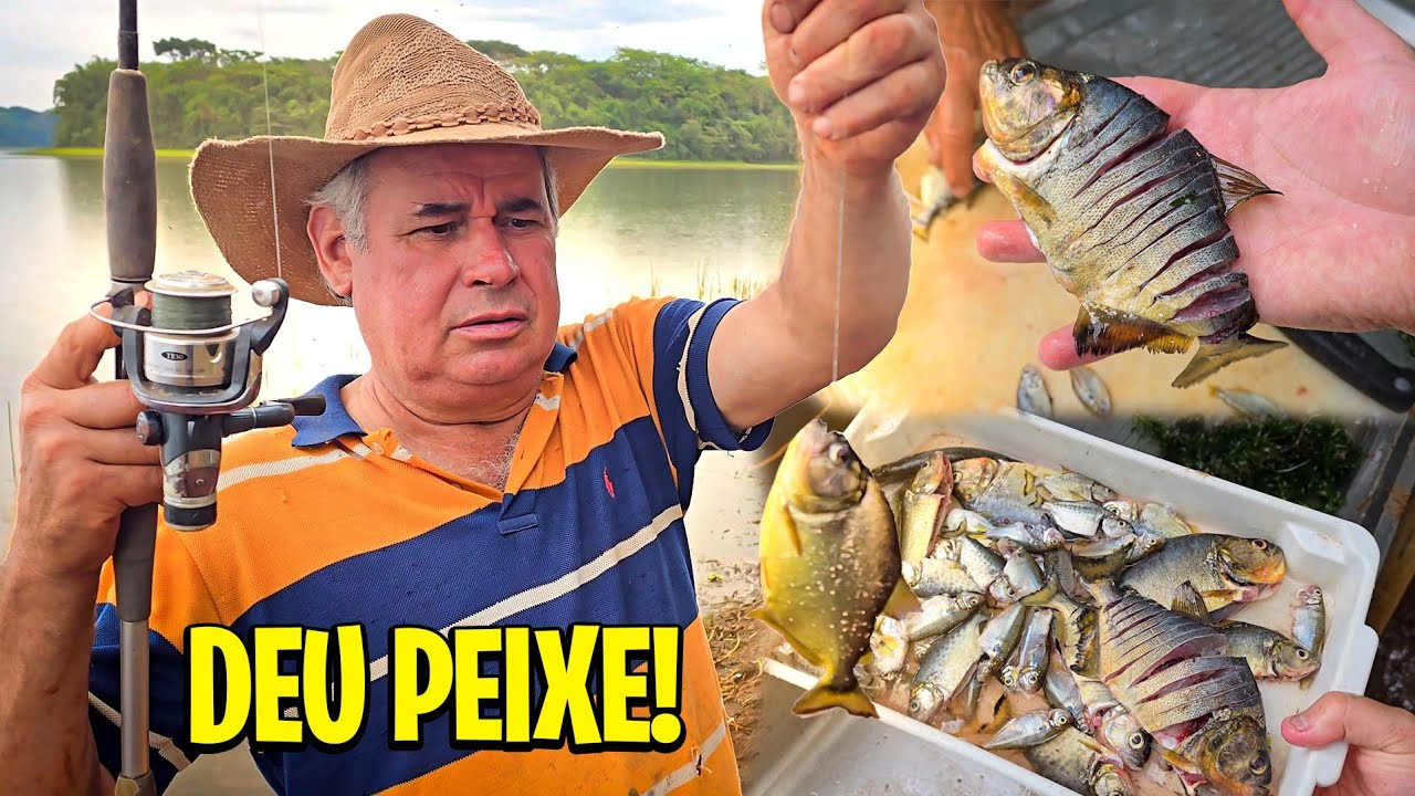 Pesca Chuva e Fogão a Lenha!  Limpando e Fritando os peixes ft Ary Português  #pescaria #receitas