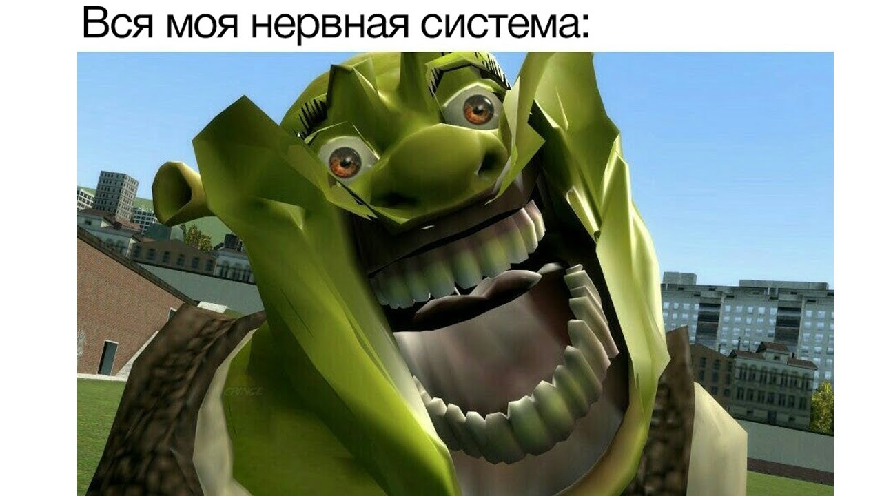 мемы, которые я смотрю чтобы взбодриться