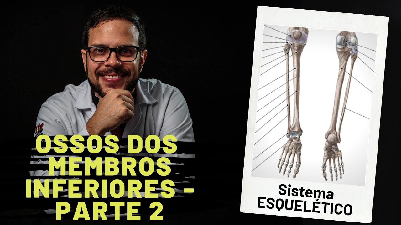 SISTEMA ESQUELÉTICO: OSSOS DOS MEMBROS INFERIORES - PARTE 2 - AULA PRÁTICA COM PROF. ANDRÉ OLIVEIRA