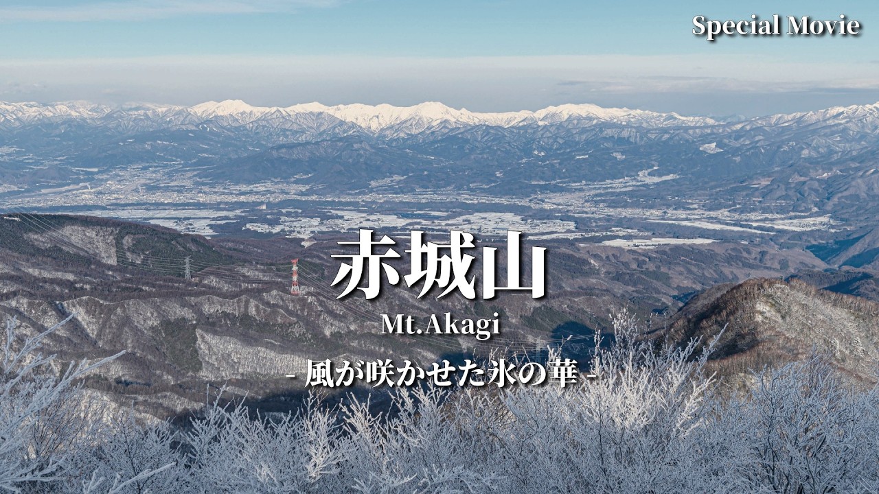 【4K】冬の赤城山 霧氷に包まれる静寂｜風が咲かせた氷の華 -Special Movie-