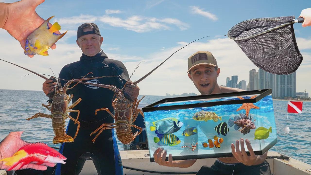 Atrapo peces carísimos para mi acuario marino 2