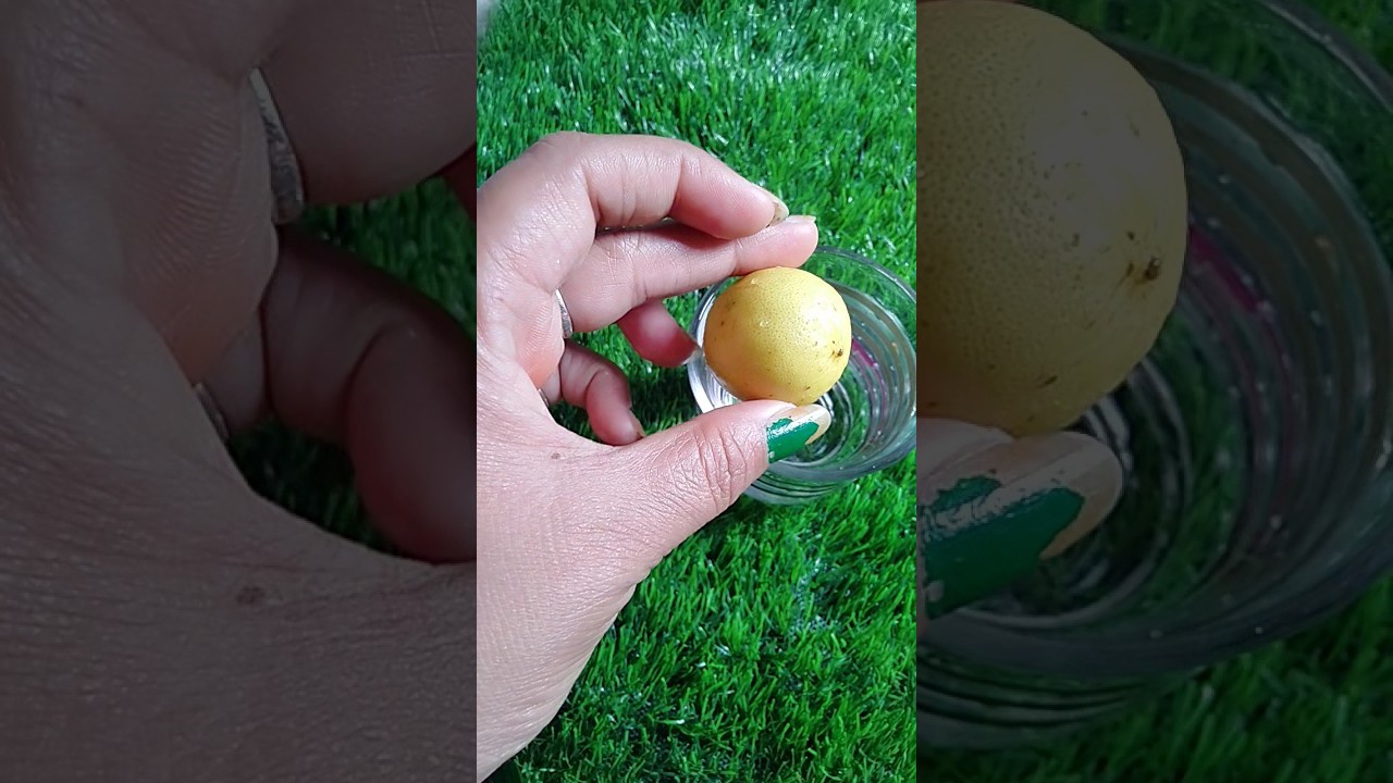 positive negative energy check Karen ghar mein ek nimbu se.   #lemon  #tips 🙏👍🙂🙂🍋🍋