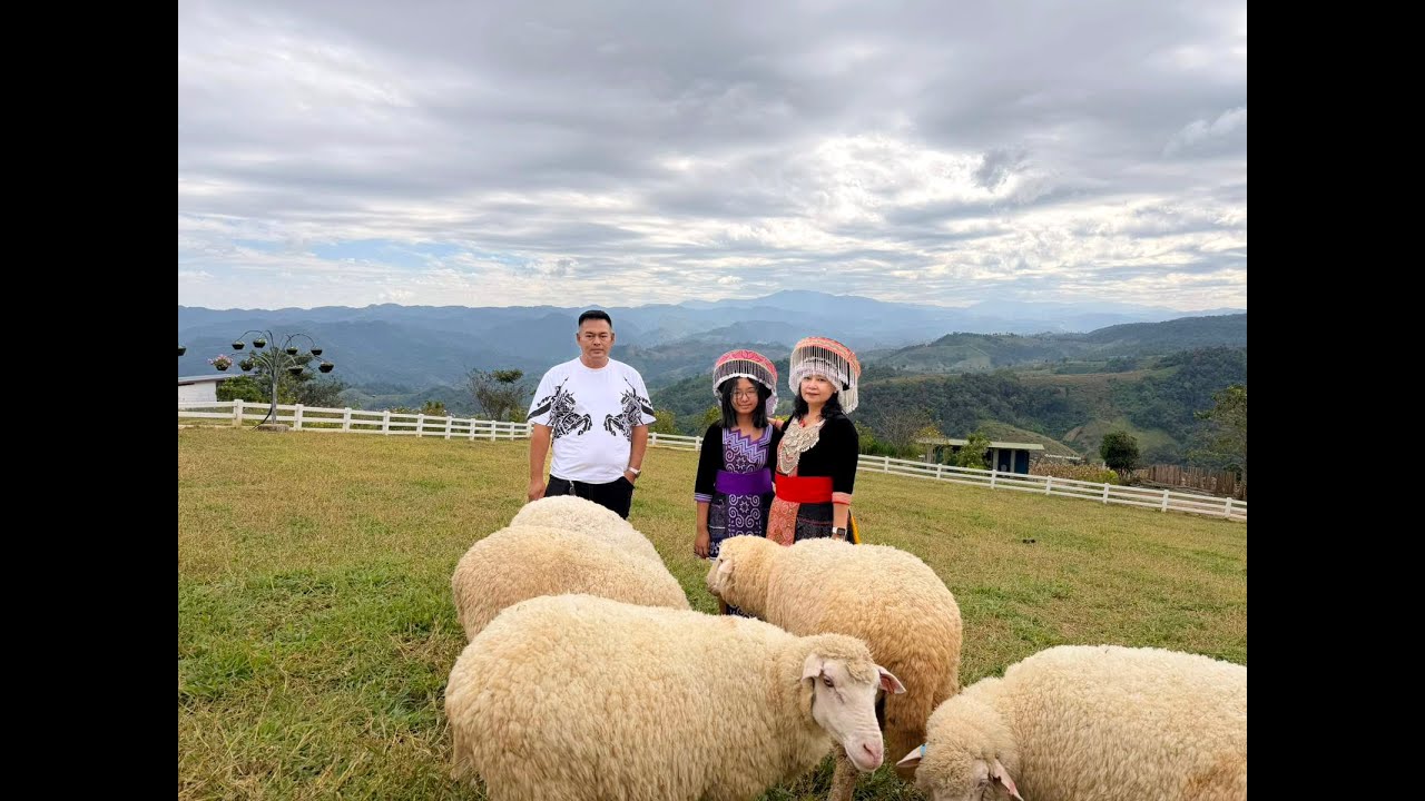 Memories of 2025 maesot&bangkok part 1