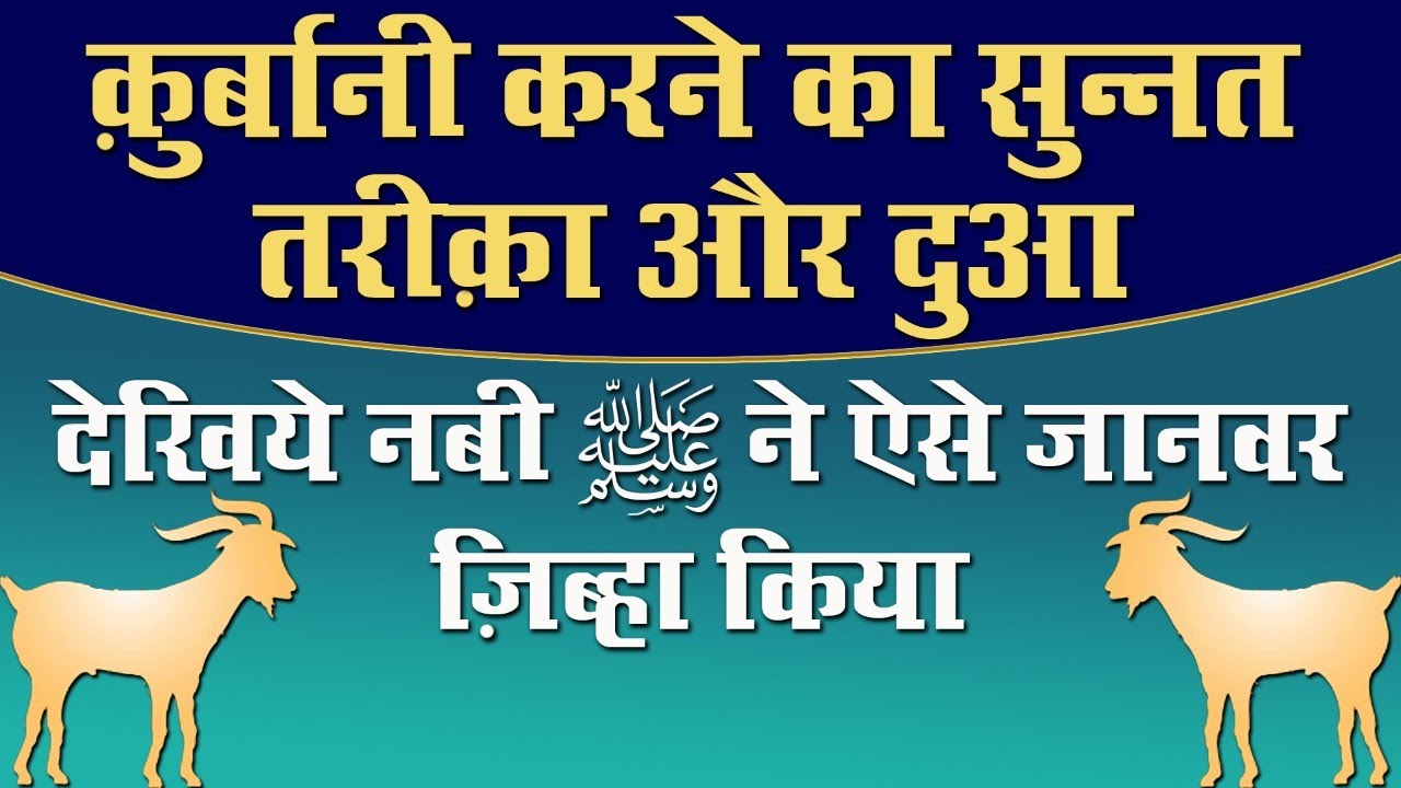 Qurbani Karne Ka Sunnat Tarika | Qurbani Karne Ki Dua aur Tarika | Janwar Zibah Karne Ka Tarika Dua