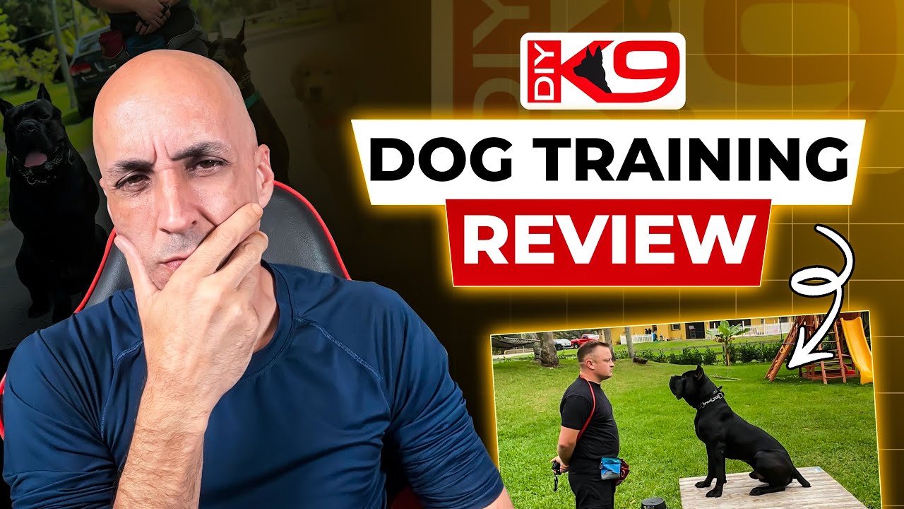 DIYK9 Dog Training Review: Watch This Before You Try It!