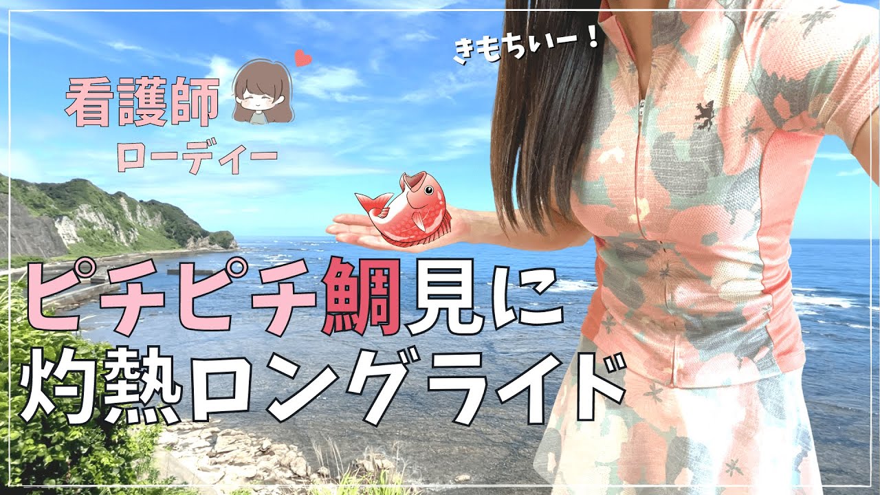 【ロードバイク女子】天然記念物のピチピチ鯛を見に、真夏の170kmロングライドin鴨川