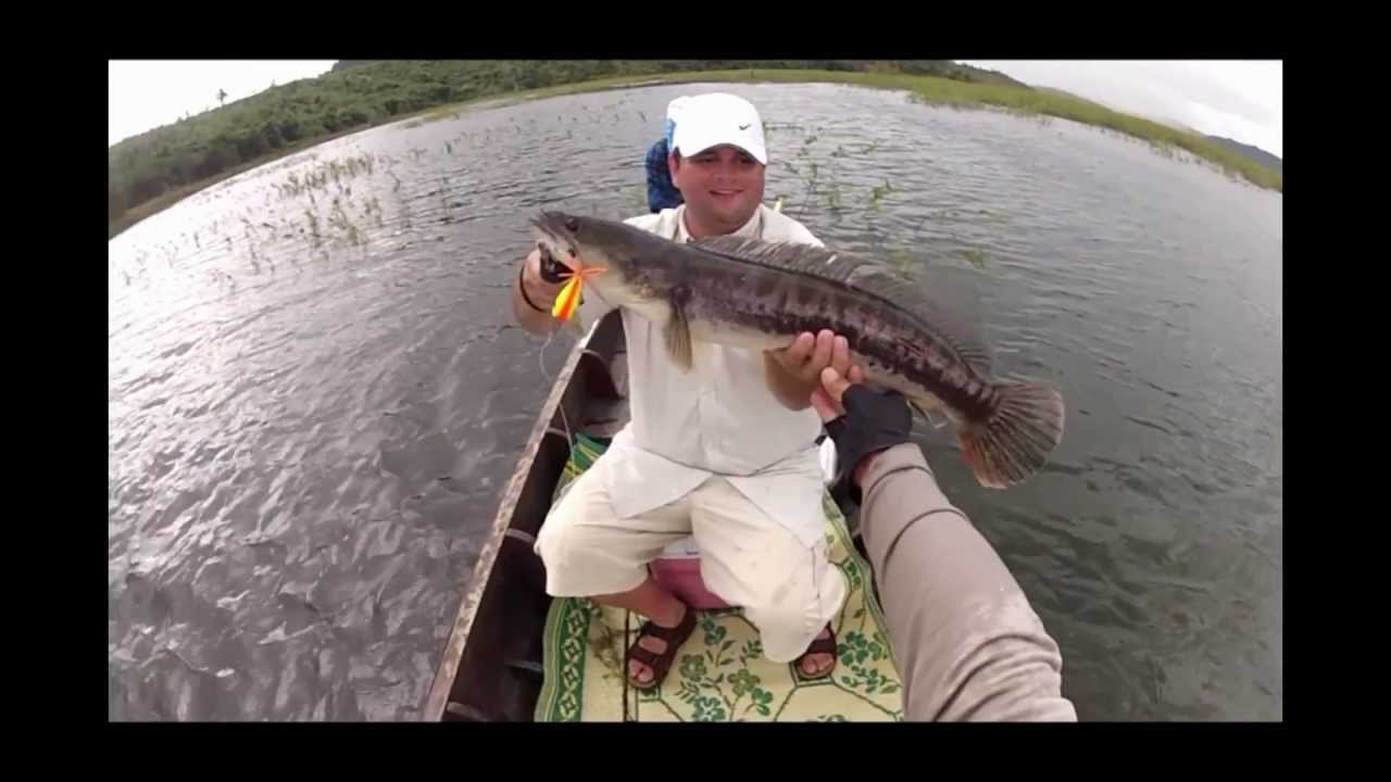 Amazing Voon Jump Frog Wild Giant Snakehead Toman Thailand GoPro Hero 2 HD By BKKGUY