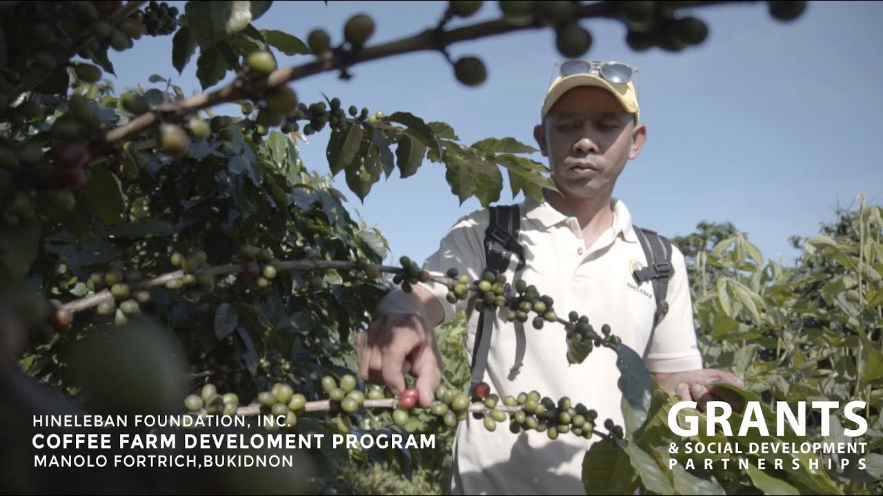 Coffee Farm Development