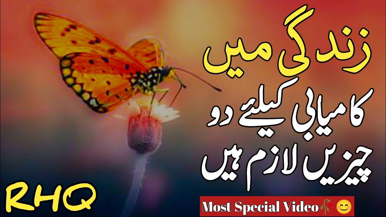 Golden Words In Urdu | Quotes About Allah In Urdu | Islamic Quotes By Rahe Haq Quotes