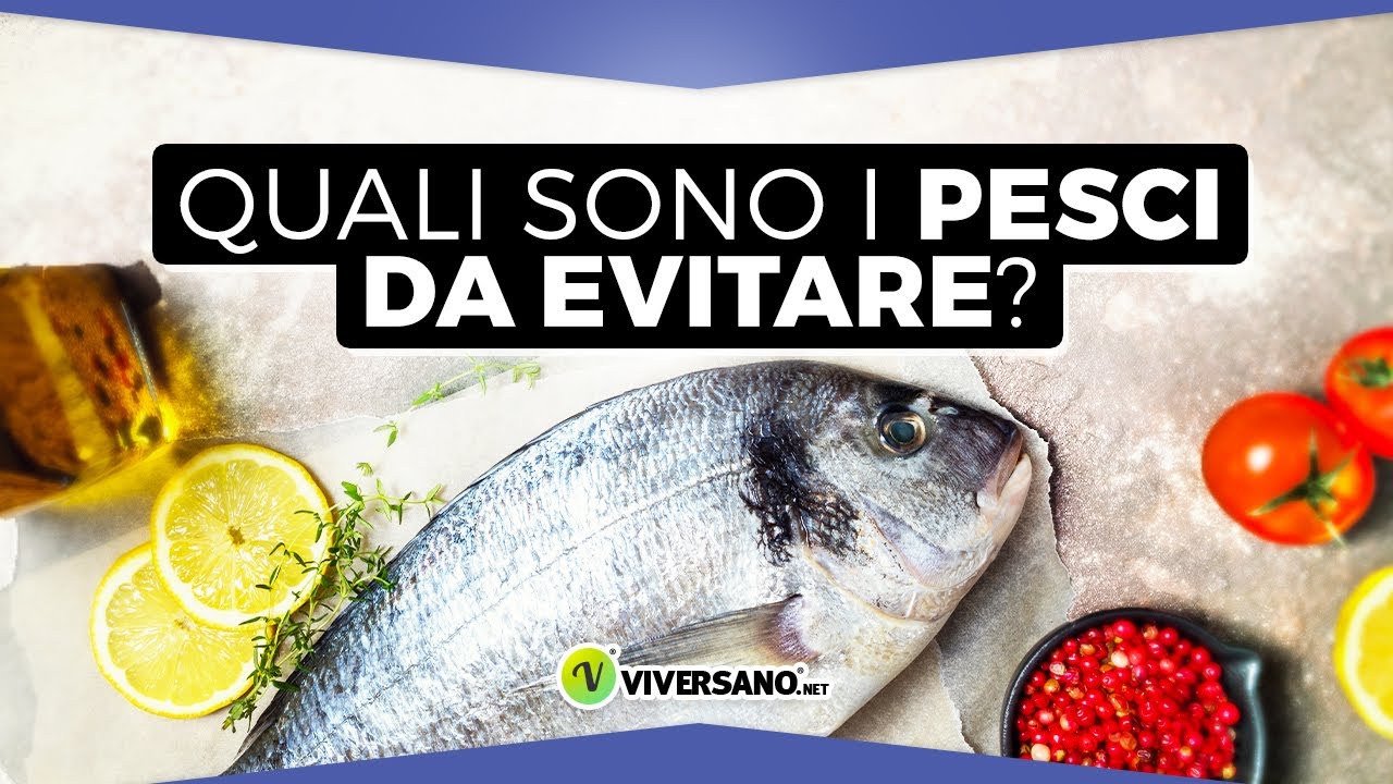 Qual è il PESCE più SANO da mangiare? Chiesto alla nutrizionista | ViverSano.net