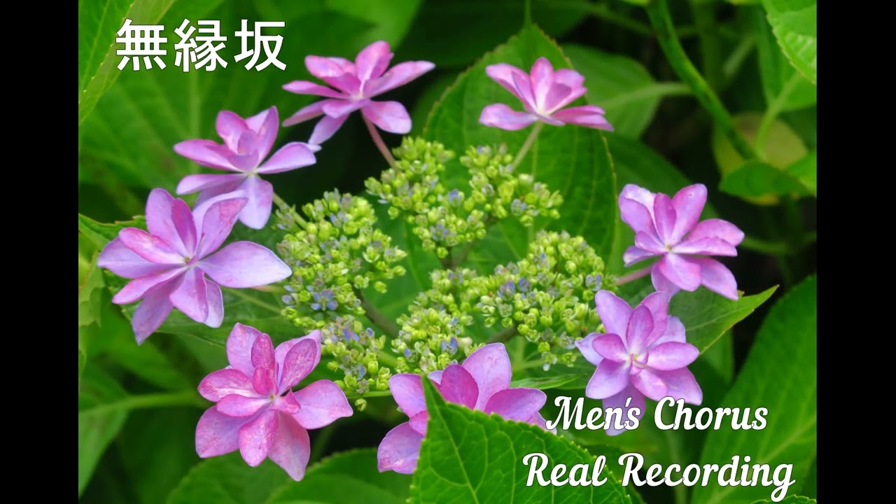 無縁坂 RealRecording版