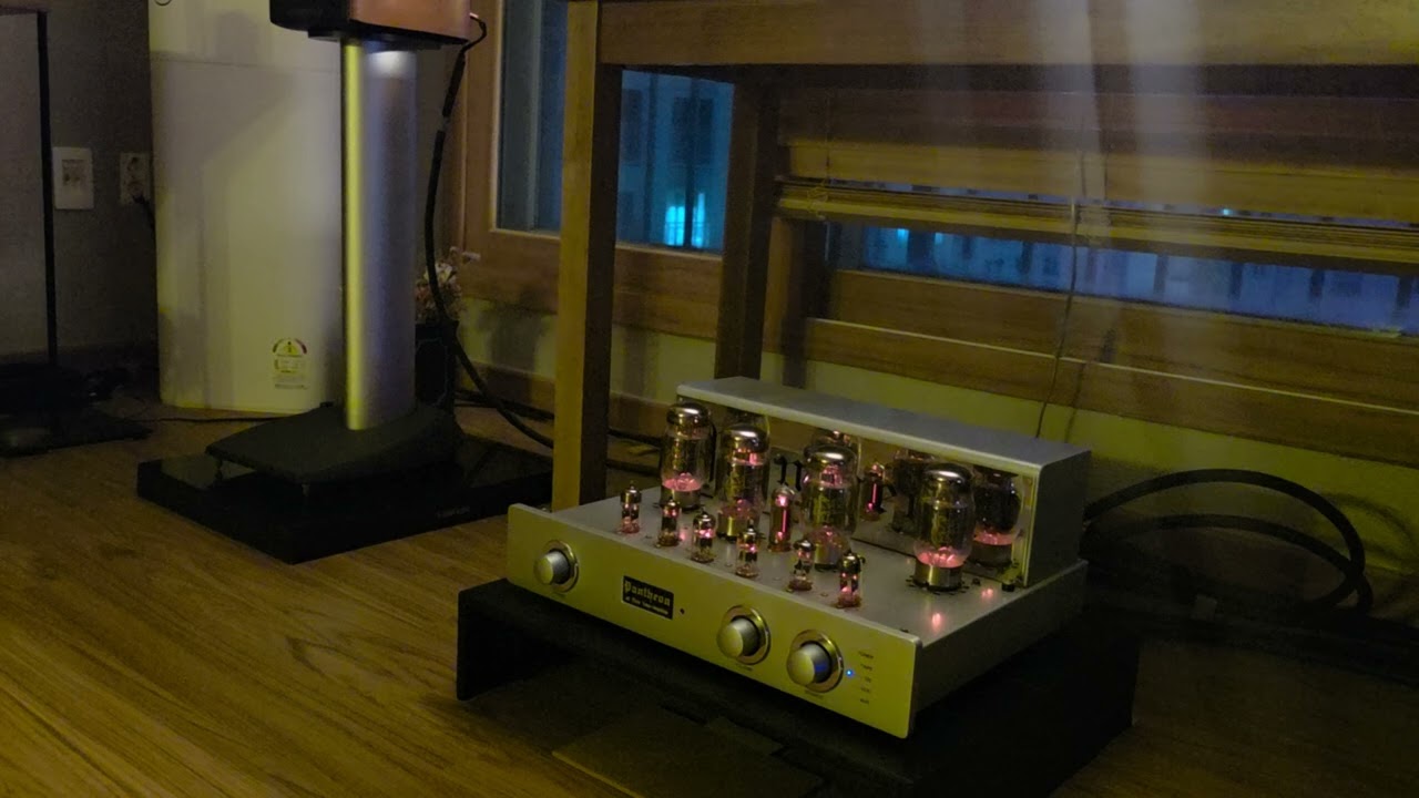 Gold Lion KT88 / WoongSan