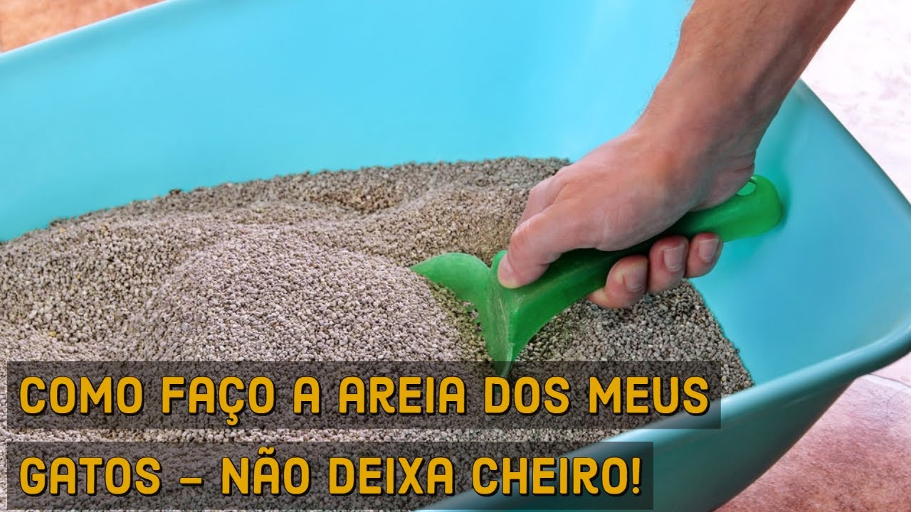 A areia que uso para os meus gatos | NÃO DEIXA CHEIRO!