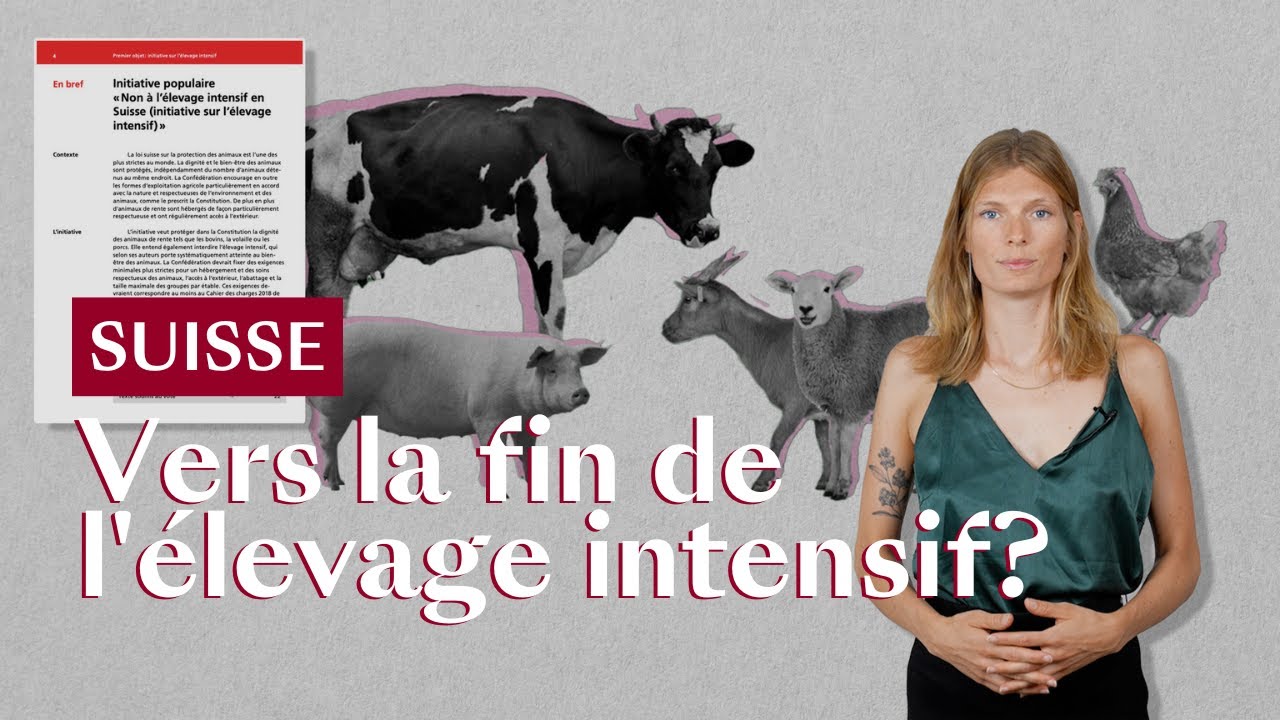 Faut-il abolir l’élevage intensif?