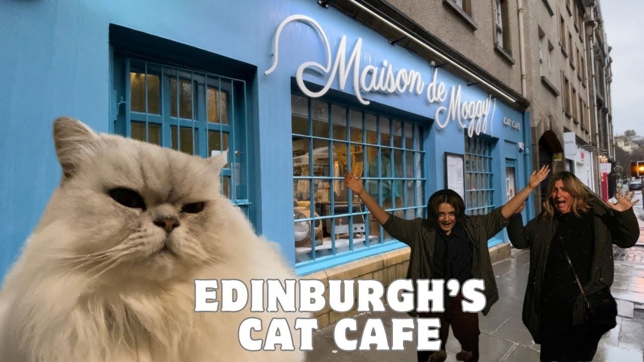 MAISON DE MOGGY CAT CAFE, EDINBURGH