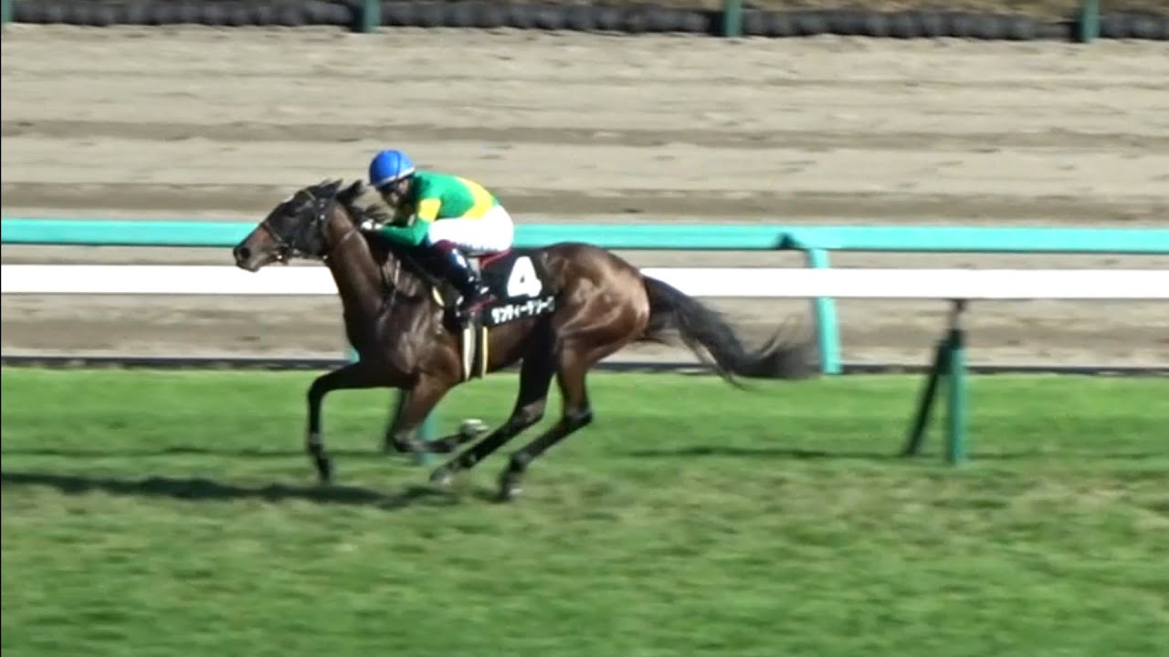 サフラン賞2022現地レース映像！過去にこのレースから出世した馬は多数！スピードの違いで押し切るサンティーテソーロ！懸命に追い込むサラサハウプリティなど好メンバーが揃った！