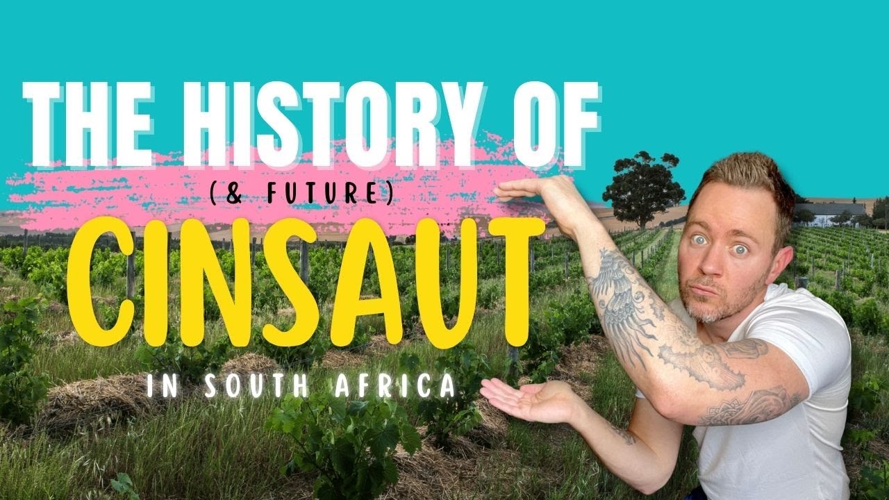 History (& future) of Cinsaut in South Africa || Natte Valleij Coastal Cinsault || HanDrinksSolo