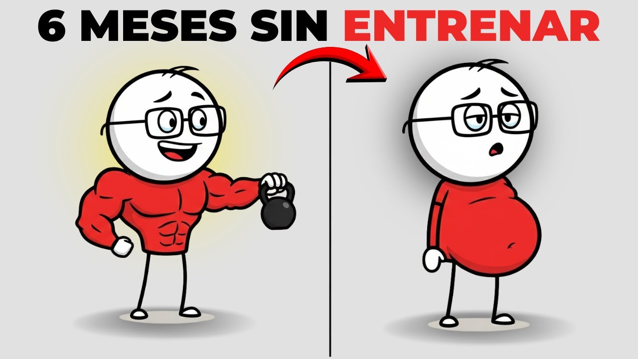 ¿Qué pasa si dejas de entrenar 6 meses?
