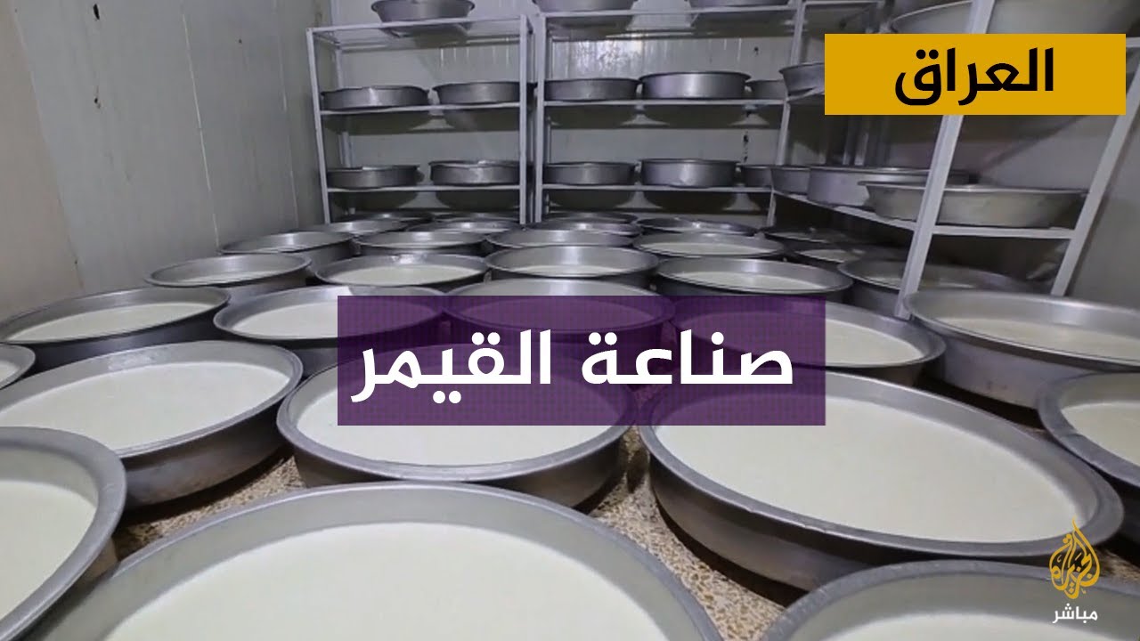 قرية عراقية تشتهر بصناعة القيمر من حليب الجاموس.. تعرف عليها