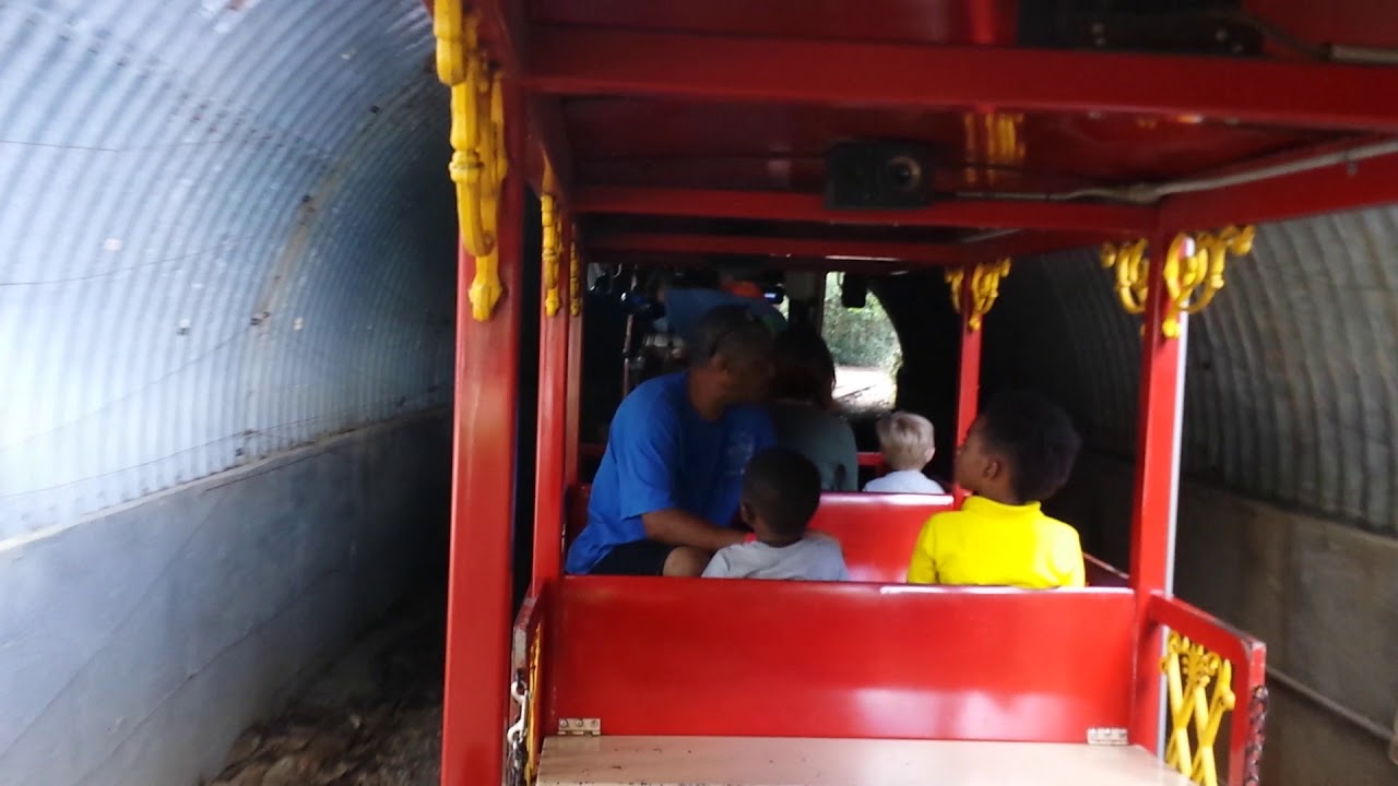 Montgomerry Zoo Train Ride