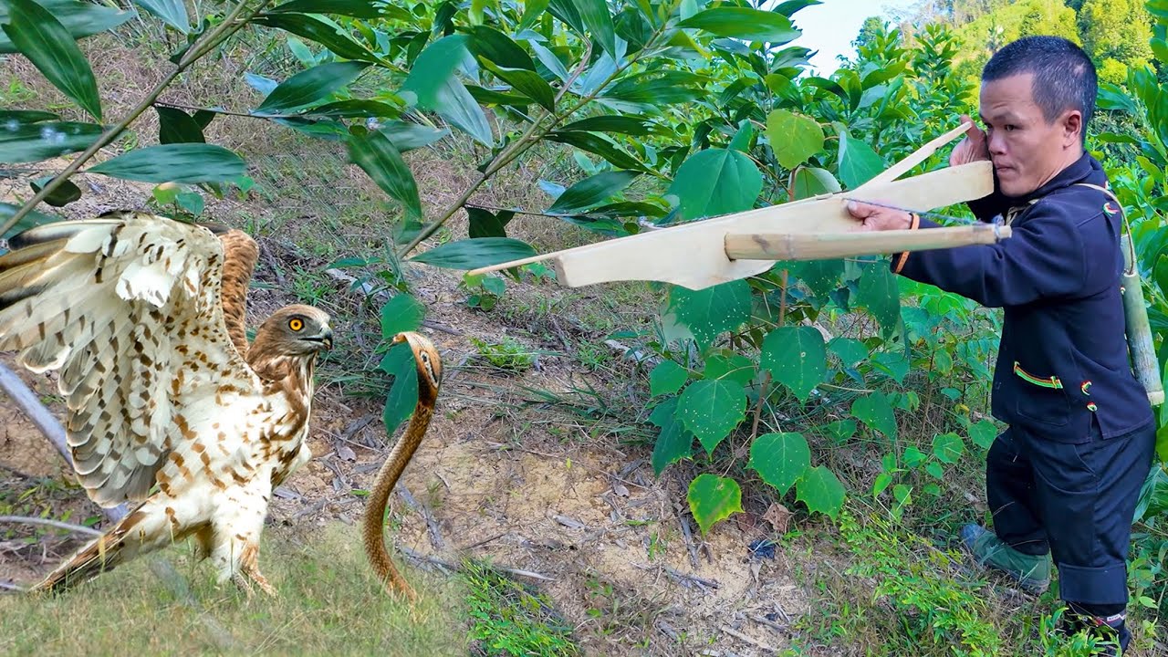 Dwarf Family Primitive Life: Dwarf Family Hunts Eagles and Snakes to Survive in the Forest.