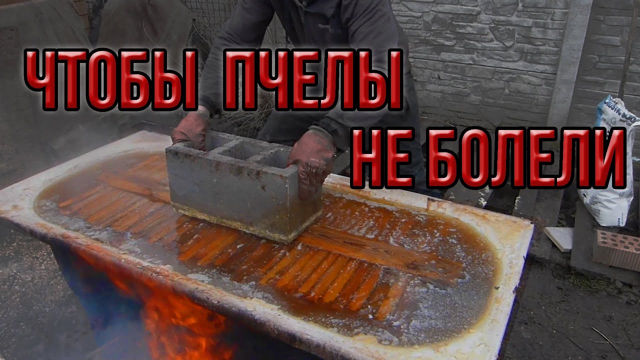 Методы дезинфекции суши, рамок и ульев на пасеке. Обработка и дезинфекция пчелоинвентаря на пасеке.