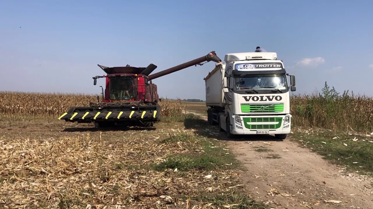 Combina CaseIH 6150 Axial Flow - Titan Machinery Romania demo la noi in ferma