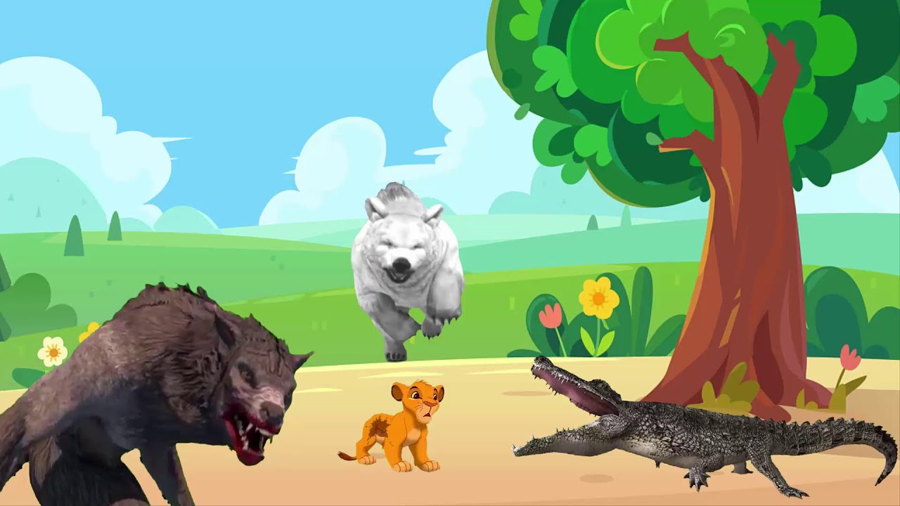 حكاية سيمبا مع الخروف والتمساح والذئب والدب الابيض