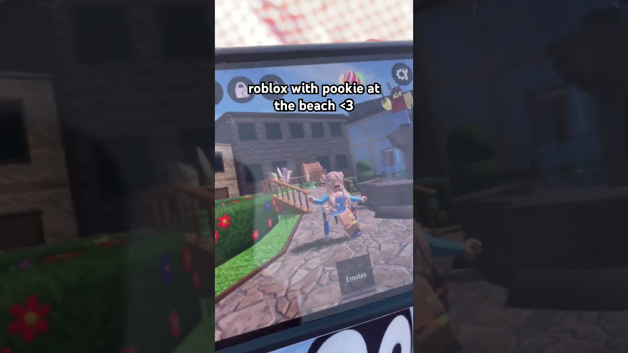MM2 IRL WITH POOKIE