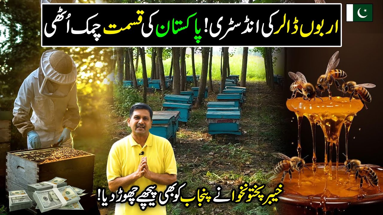 How to Earn Money from Beekeeping? | Honey Bee Farming In Pakistan | Kissan Ka Pakistan
