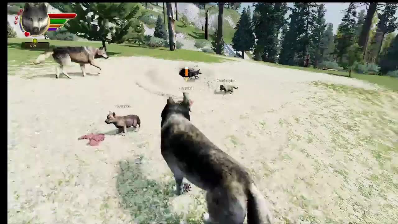 (WOLF QUEST AE) The New Moon Legacy - Episode Four - Prep for puppies