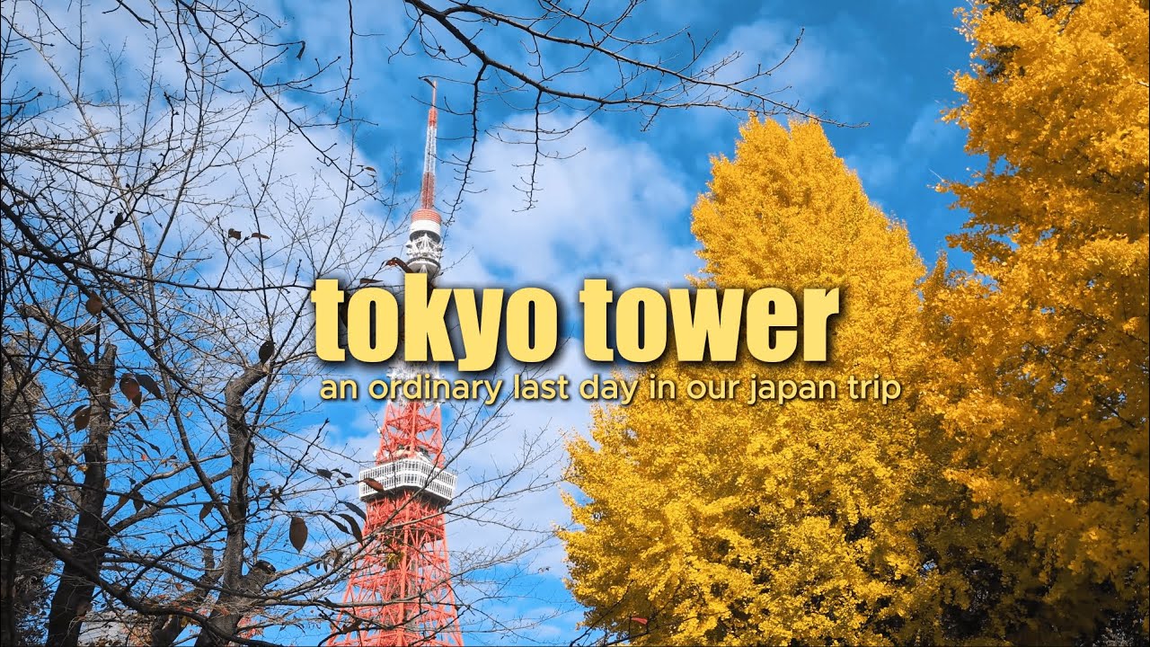 Japan Trip Day 8 | Our Last Day in Japan Walking Around Tokyo Tower