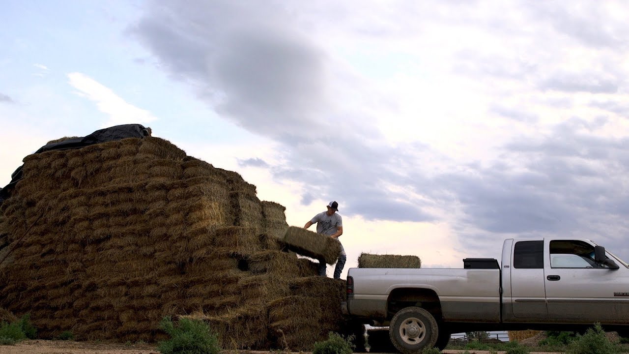 Just an Old Farm Boy