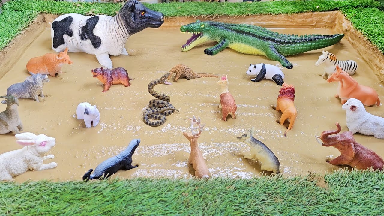 Fun Learning Experience with Hibernating Animals and Semi-Aquatic Animals!