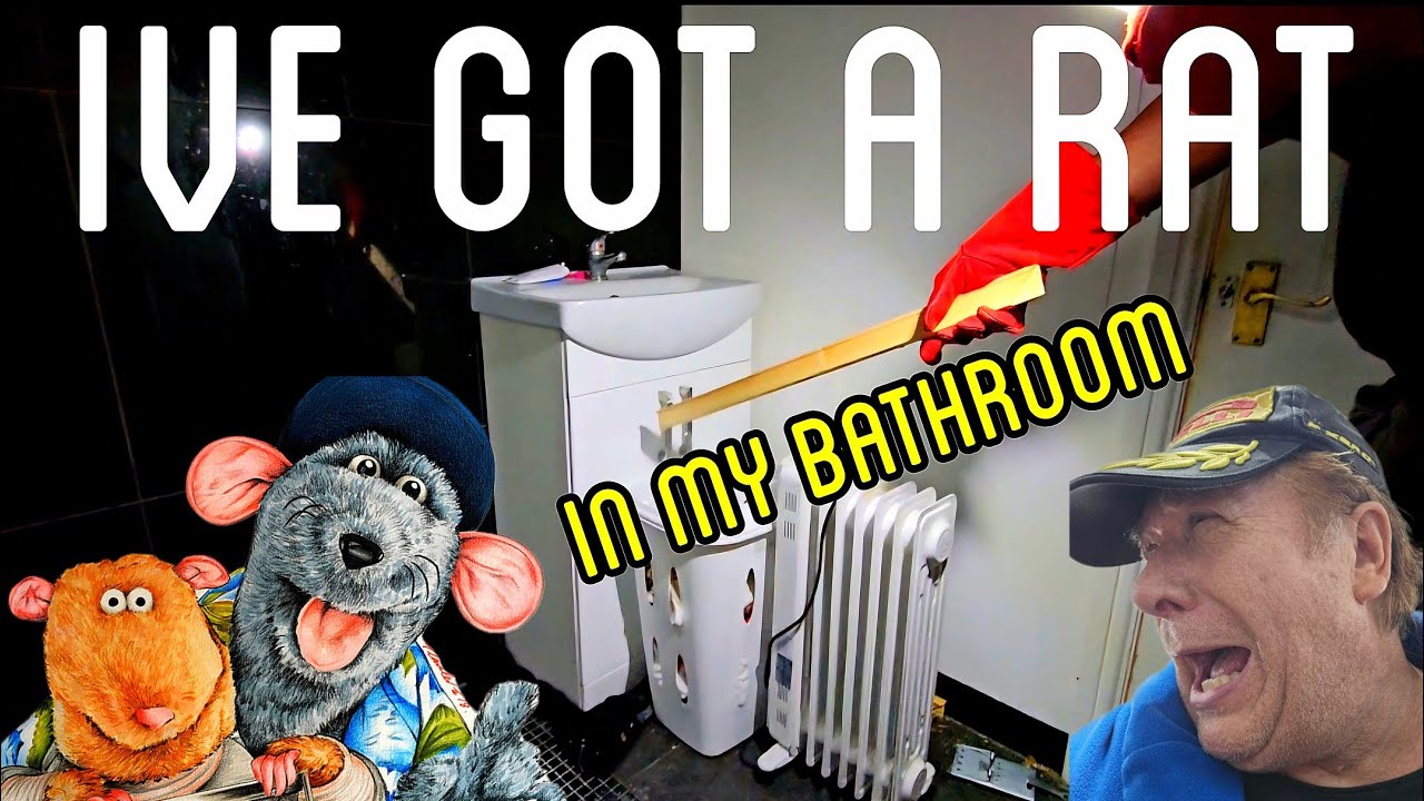 I've got a rat or burglar in my bathroom