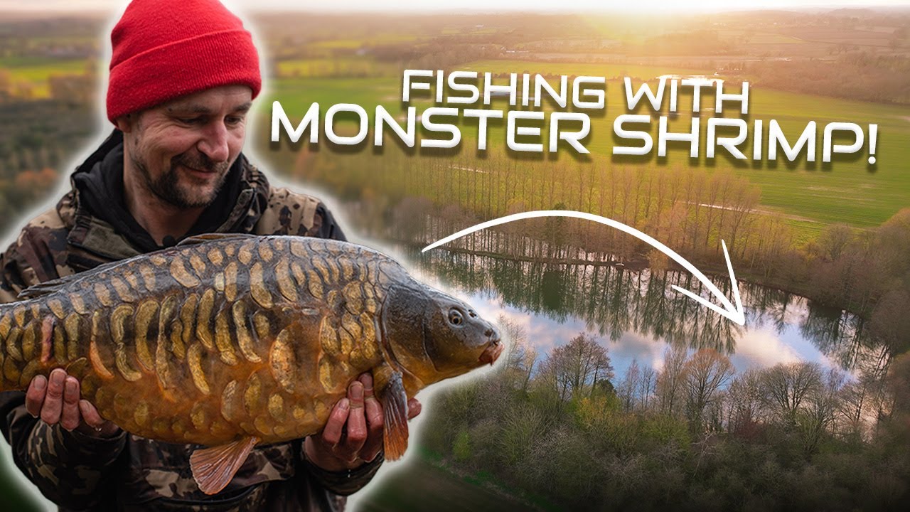 Spring Carp Fishing with Monster Shrimp | Oli Davies at Moor Lakes