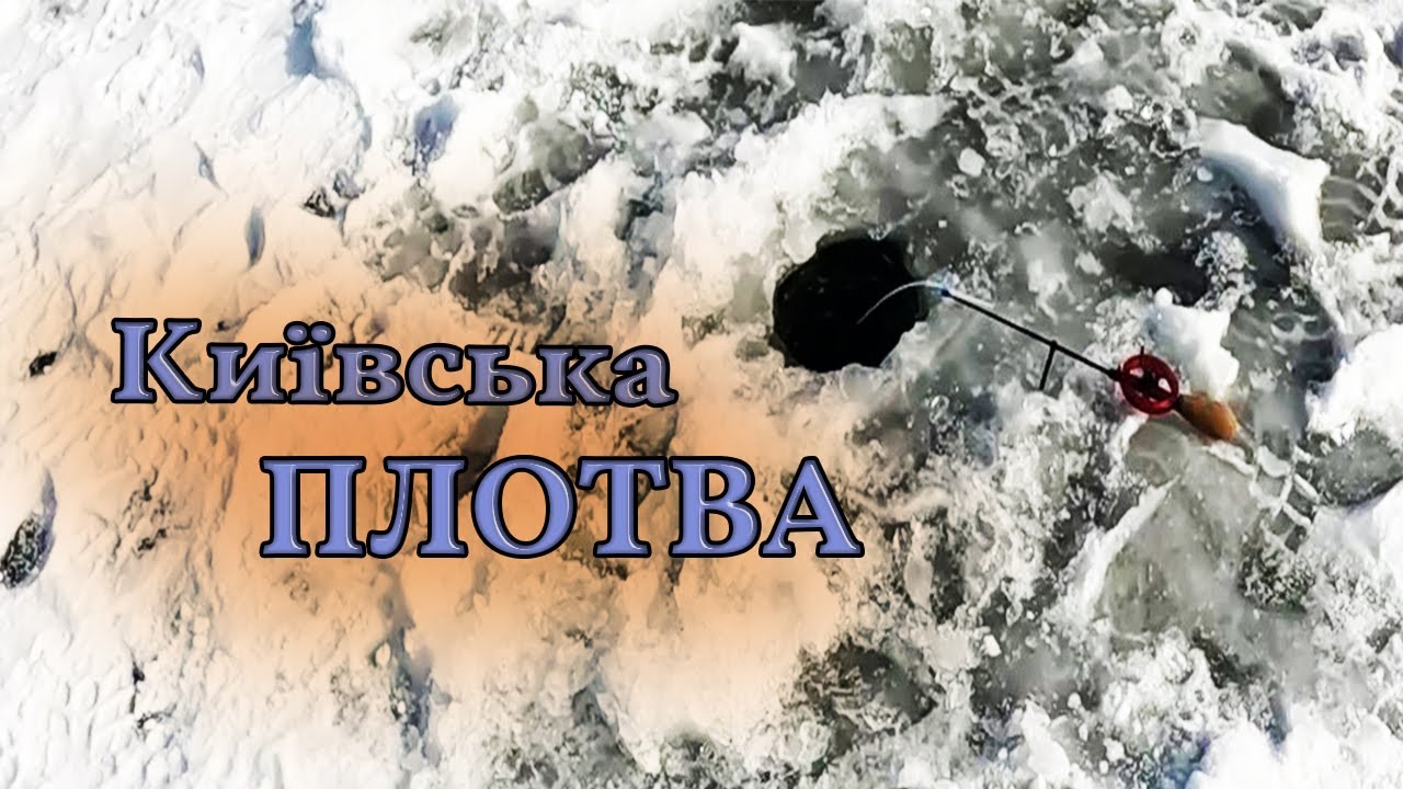 Знайшли плотву по Київським заливам Дніпра. Поїхав з кльову #рибалка #fishing #риболовля #плотва