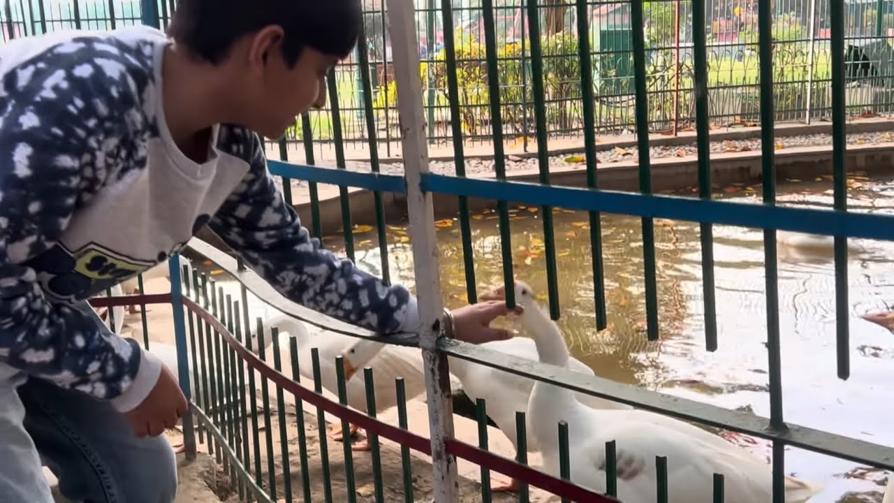 Is Nikku Park Really This Fun? 🤔🎡”
