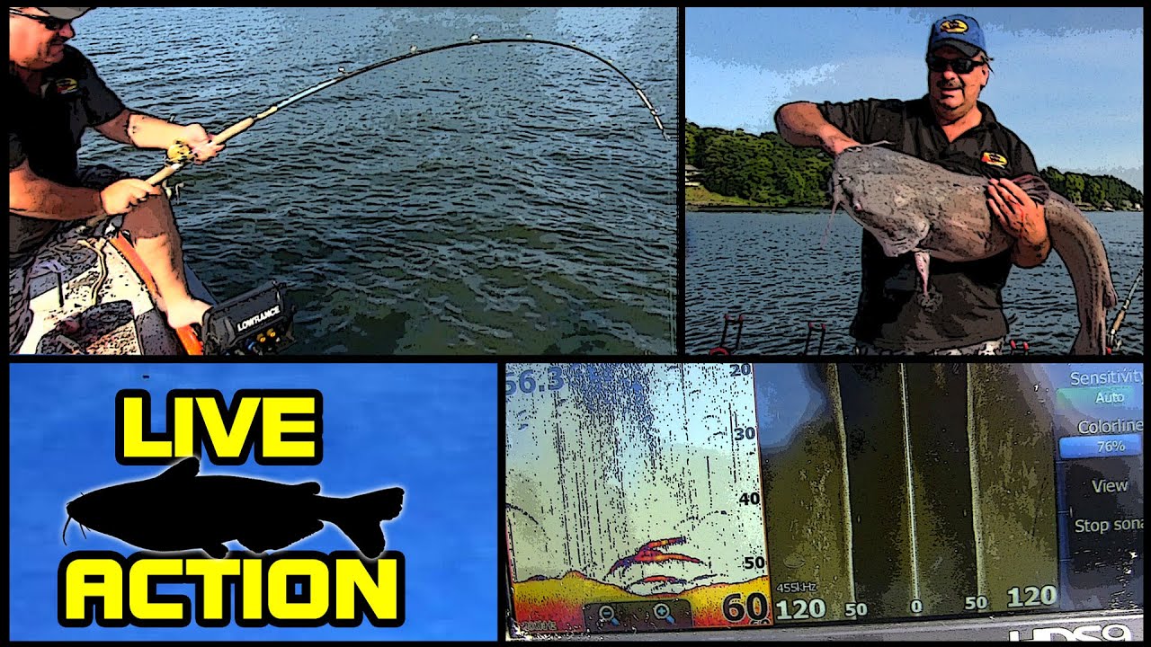 Catching deep water Bluecats on the Tennessee River